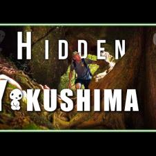Exploring Hidden Yakushima Island | Japans Secret Paradise