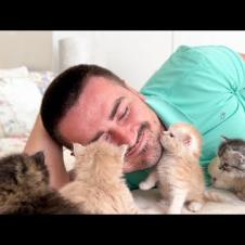 When Kittens Decide You’re Their Favorite Person