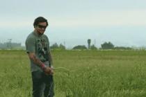 바람 불땐 조심하세요