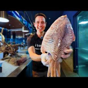 Luxury VS. Local Seafood in Qatar!! 🇶🇦