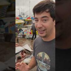 Sri Lanka’s SCARIEST Fish Market 🇱🇰  #srilanka