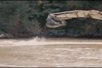 굴착기 수상스키