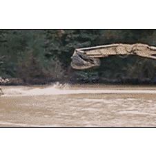 굴착기 수상스키