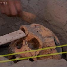고고학 해골 파괴