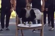 아그들아! 가자