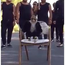 아그들아! 가자