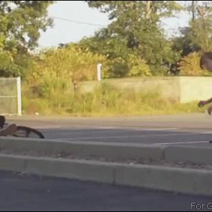 Skateboarding-PerineumBuster