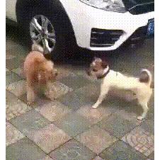 딴따라라~딴딴딴