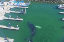 다시 보기 힘든 장면