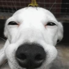 이놈! 얼런 내려와...