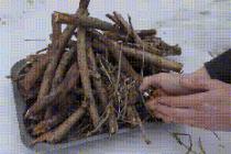 마른 나무가 없어 불을 피우지 못할때