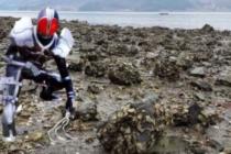 엄마가 섬그늘에 굴따러 가면