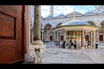 モスクに入ろうとすると猫が入口まで出迎えに来てくれた