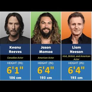 Height comparison of hollywood actors | Shortest to Tallest
