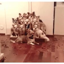 기념사진 제대로 찍으면,,,