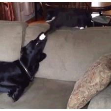 까분다,,,, 그러다가 한방에