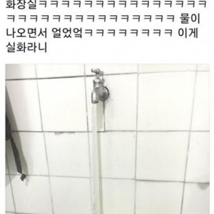 ㅈㄴ추워지면 생각나는 짤