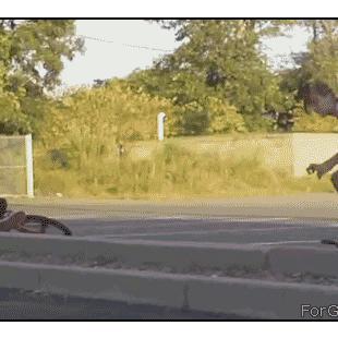 아이고 엉치야~~