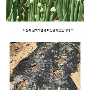 전원생활의 묘미