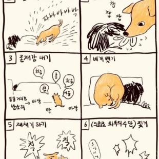 강아지가 사람을 깨우는 6가지 방법