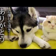 みなさまにお伝えしたいことがあります...