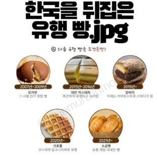 한국을 뒤집은 유행 빵