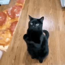 피자 주세요