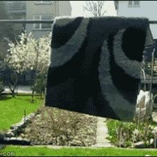 숨은 카펫 닌자