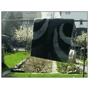 숨은 카펫 닌자