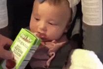 사과주스를 처음 먹어본 아이