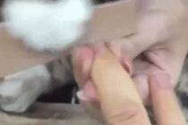 수고비는 참치캔 하나