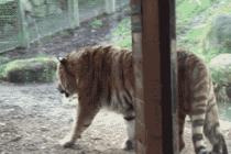 왜 나를 못살게해