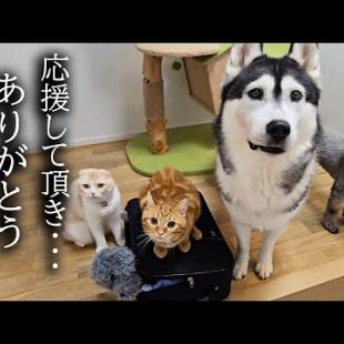 明日から入院することになりました...