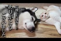 術後1カ月みなさまにお伝えしたいことがあります...