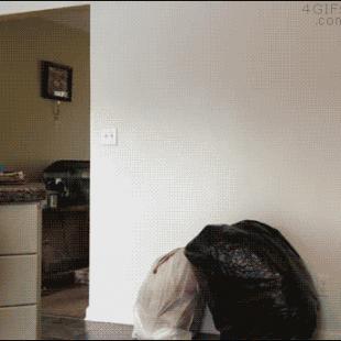 Trash bag prank