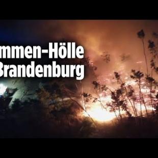 [독일 Bild紙] Waldbrände zwingen drei Ortschaften zum Evakuieren | Brandenburg