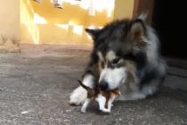 무조건 전진이다