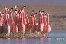 길 건널때는 좌우를 잘 살펴야