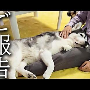 今まで応援してくださった皆様へ大切なご報告...