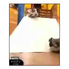 슬라이드 풍선 실패