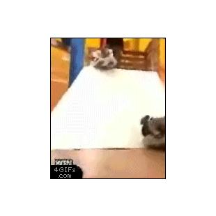 슬라이드 풍선 실패