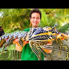 Eating Giant Rock Lobster!! Why This REMOTE ISLAND is Food Paradise!!