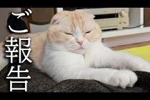 しばらくお休みすることになりそうです...