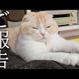 しばらくお休みすることになりそうです...