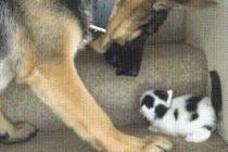 내가 도와 줄께