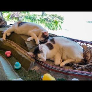 ジオラマ鉄道全面ストライキ中 | ジオラマ食堂てつどうかん