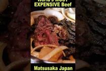 World’s RAREST and Most EXPENSIVE Beef Experience in Matsusaka Japan!