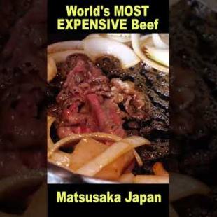 World’s RAREST and Most EXPENSIVE Beef Experience in Matsusaka Japan!