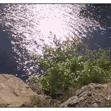 절벽 다이빙 실패