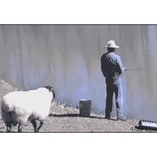 아니, 저런 못된 것이 있나!|